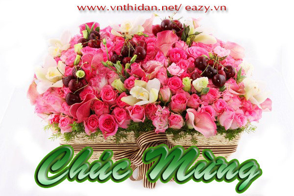 Hình ảnh